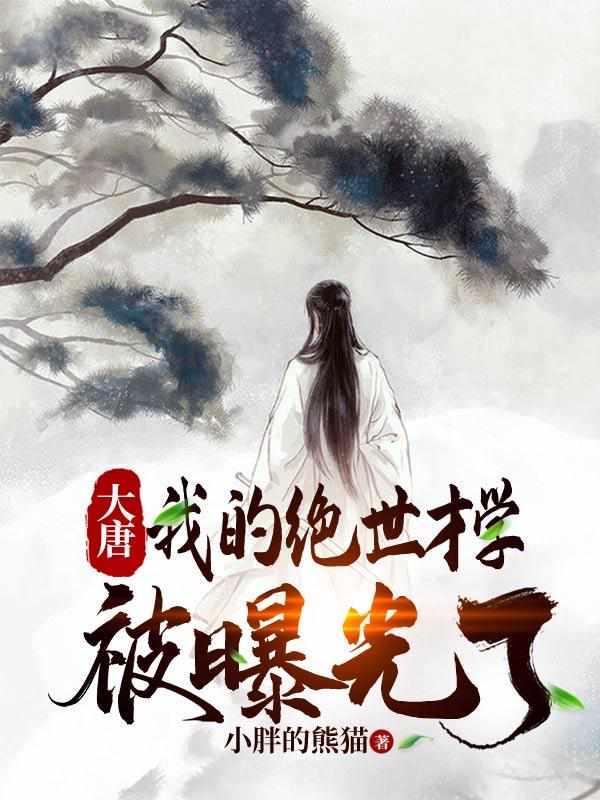 张诺李世民 张诺李世民