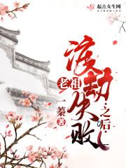 老祖渡劫失败之后 老祖渡劫失败之后